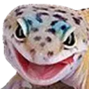 GECKW GECKW