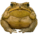 froggwalk Discord Emoji