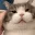 catRub