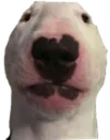 walter