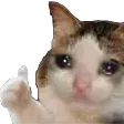 SadCatThumb