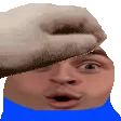 PETTHELUDWIG