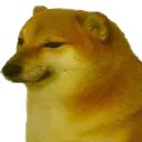 cheems