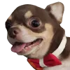 milogoodboi Discord Emoji