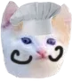 kittencooker kittencooker