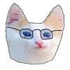 kittenNerd kittenNerd
