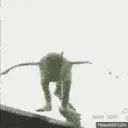 kermitsuicide