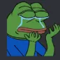 Pepe Why pepe_why Discord Emoji