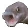 POGFISH