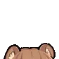 peekaboo
