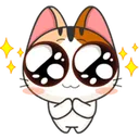 bigeyescat