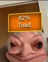 toad