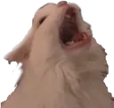 aaaaah