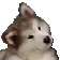 confuse