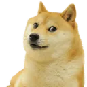 doge