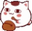 catkappa