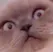 LoeyaCBRUH