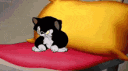 boude Discord emoji