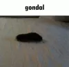 Gondal