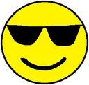 sunglasses_fiilis