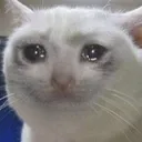 catcri