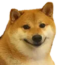 Dogohehe Discord Emoji