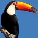 praise