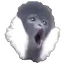 PogMonk
