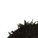 fuckedJup1
