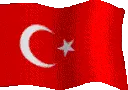 asgard_turkbayragi