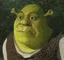 shrekcringe