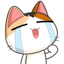 catcry