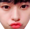 LeeKnowDuckLips