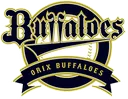 orix orix