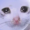waaaaa