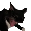 pandi_screm