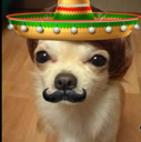 mexican_dog Discord emoji