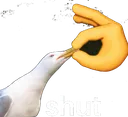 Shut