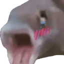 ahageo_pog