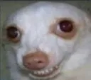 hehe Discord Emoji