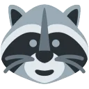 glitchraccoon