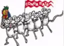 Congarats Congarats