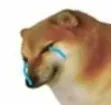 LilDogeSad Discord Emoji