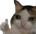 sadCatCry