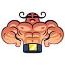 muscle
