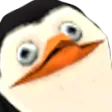 Wut