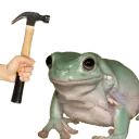 bonkfrog