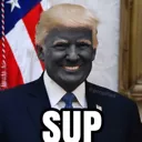 sup sup