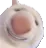 omegacriticalcat Discord Emoji
