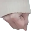 sanhafist